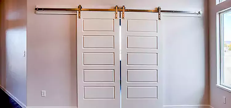 Glass Barn Door with Installation Hardware Kit West Seneca