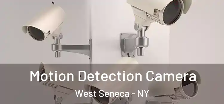  Motion Detection Camera West Seneca - NY